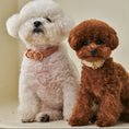 Load image into Gallery viewer, MACARON Collar view 9 – Nala's Pet Boutique