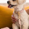 Cargar la imagen en la vista de la galería, Life Dog Collar in 5ded4cd2fd95fe – Nala's Pet Boutique