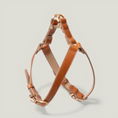 Cargar la imagen en la vista de la galería, ROMA HARNESS angle view – Nala's Pet Boutique