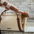 Cargar la imagen en la vista de la galería, Mochila transportadora para mascotas Fynn