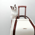Cargar la imagen en la vista de la galería, Fynn Pet Carrier angle view – Nala's Pet Boutique