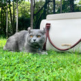 Cargar la imagen en la vista de la galería, Mochila transportadora para mascotas Fynn