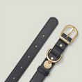 Cargar la imagen en la vista de la galería, Life Dog Collar in Grey – Nala's Pet Boutique