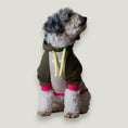 Cargar la imagen en la vista de la galería, Blush in Blush.00 – Nala's Pet Boutique