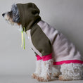Cargar la imagen en la vista de la galería, Blush in Blush.001 – Nala's Pet Boutique