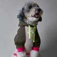 Cargar la imagen en la vista de la galería, Blush in Blush.002 – Nala's Pet Boutique