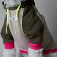 Cargar la imagen en la vista de la galería, Blush in Blush.005 – Nala's Pet Boutique