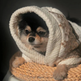 Cargar la imagen en la vista de la galería, Bunny Bathrobe in Ivory – Nala's Pet Boutique