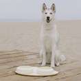 Cargar la imagen en la vista de la galería, BUBBLE BOWLS & MAT SET in Capture – Nala's Pet Boutique