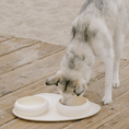 Cargar la imagen en la vista de la galería, BUBBLE BOWLS & MAT SET in Capture1 – Nala's Pet Boutique