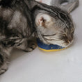 Load image into Gallery viewer, CatNut catnip toy for cats