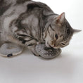 Load image into Gallery viewer, CatNut catnip toy for cats