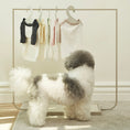 Cargar la imagen en la vista de la galería, Mini Clothing Rack in Clothingrack.6 – Nala's Pet Boutique