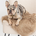 Cargar la imagen en la vista de la galería, Föra in Brown – Nala's Pet Boutique