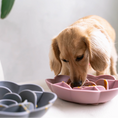Cargar la imagen en la vista de la galería, Flower Slow Feeder in Flowerslowfeeder3 – Nala's Pet Boutique
