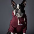 Cargar la imagen en la vista de la galería, Fontana product shot – Nala's Pet Boutique