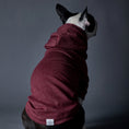 Cargar la imagen en la vista de la galería, Fontana front view – Nala's Pet Boutique