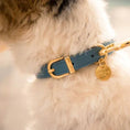Cargar la imagen en la vista de la galería, Life Dog Collar view 12 – Nala's Pet Boutique