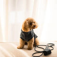 Cargar la imagen en la vista de la galería, Life Dog Leash view 26 – Nala's Pet Boutique