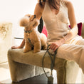Cargar la imagen en la vista de la galería, Life Dog Leash view 22 – Nala's Pet Boutique