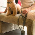 Load image into Gallery viewer, Life Dog Leash view 22 – Nala's Pet Boutique