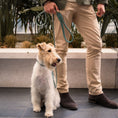Cargar la imagen en la vista de la galería, Life Dog Leash view 21 – Nala's Pet Boutique