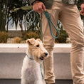 Load image into Gallery viewer, Life Dog Leash view 21 – Nala's Pet Boutique