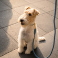 Cargar la imagen en la vista de la galería, Life Dog Leash view 18 – Nala's Pet Boutique