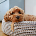 Load image into Gallery viewer, Dog bed made of high-quality braided cotton string with great detail attention. The oval shape fits perfectly with the dog's natural shape when resting. The cushion on the bottom is fully removable, which helps to keep the dog bed clean and functional. Lukko is perfect for short naps and longer rest. Dedicated to dogs who value comfort.
