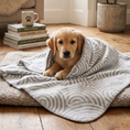 Load image into Gallery viewer, Manno Blanket