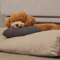 Load image into Gallery viewer, Mini Pillow - Nala's Pet Furniture Boutique