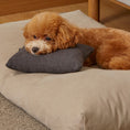 Load image into Gallery viewer, Mini Pillow - Nala's Pet Furniture Boutique