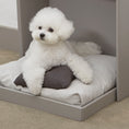 Load image into Gallery viewer, Mini Pillow - Nala's Pet Furniture Boutique