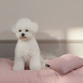 Load image into Gallery viewer, Mini Pillow - Nala's Pet Furniture Boutique