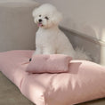 Load image into Gallery viewer, Mini Pillow - Nala's Pet Furniture Boutique