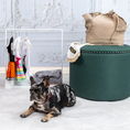 Cargar la imagen en la vista de la galería, Mini Clothing Rack in Minirack – Nala's Pet Boutique