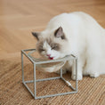 Load image into Gallery viewer, Moonlight Glass - Nala's Pet Furniture Boutique