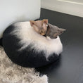 Cargar la imagen en la vista de la galería, Black & White Ombre Cave product shot – Nala's Pet Boutique