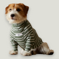 Load image into Gallery viewer, Basic green and white stripes lightweight turtleneck sweater made with a textured jersey. Comfortable and easy to wear.