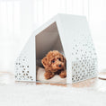 Load image into Gallery viewer, Oshu - Nala's Pet Furniture Boutique