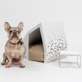 Cargar la imagen en la vista de la galería, Oshu in White – Nala's Pet Boutique