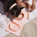 Cargar la imagen en la vista de la galería, GO! PORTABLE BOWLS view 13 – Nala's Pet Boutique
