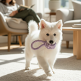 Load image into Gallery viewer, Rope Knot dog toy