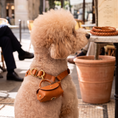 Load image into Gallery viewer, Roma Leather Poop Bag Holder