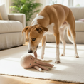 Load image into Gallery viewer, Octopus Dog Toy