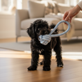 Load image into Gallery viewer, Rope Knot dog toy