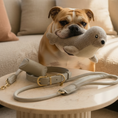 Load image into Gallery viewer, Seal Dog Toy