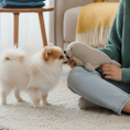 Load image into Gallery viewer, Seal Dog Toy