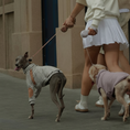 Load image into Gallery viewer, FurRéal Retractable Leash