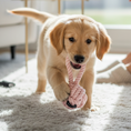 Load image into Gallery viewer, Rope Knot dog toy